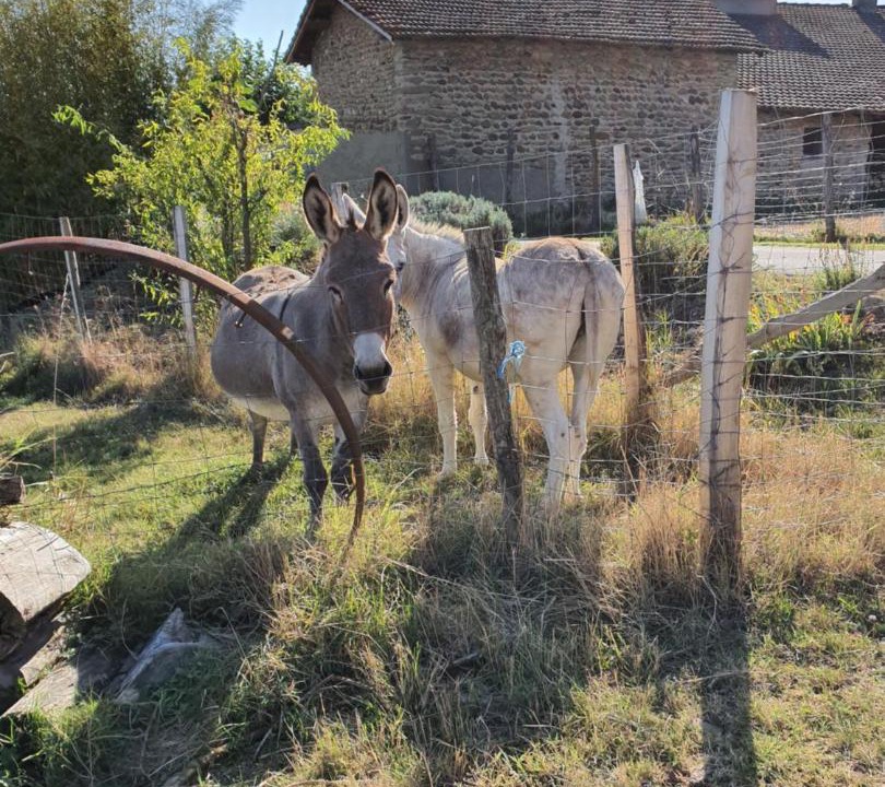 Photo of Others in Chateauneuf-de-Galaure