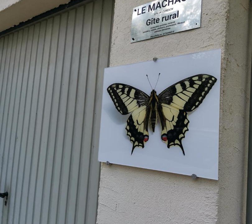 Photo of Others in Bregnier-Cordon