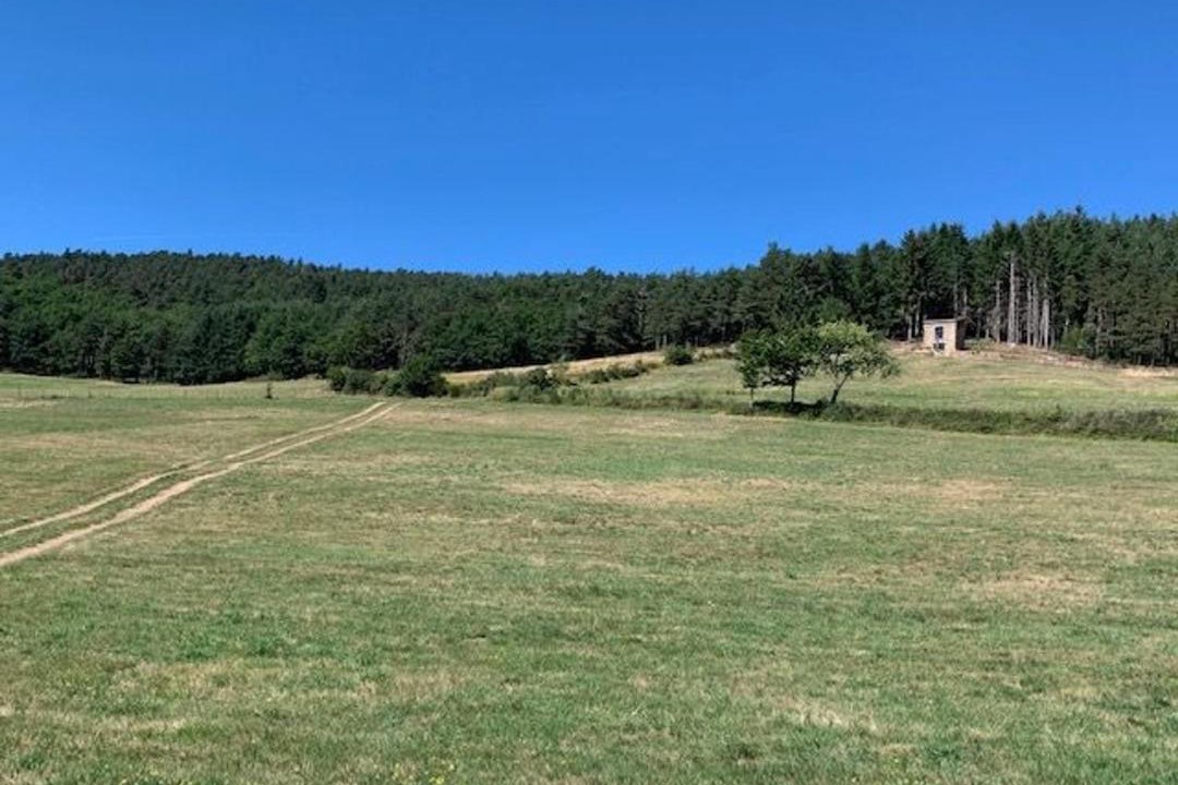 Photo of Others in Langeac
