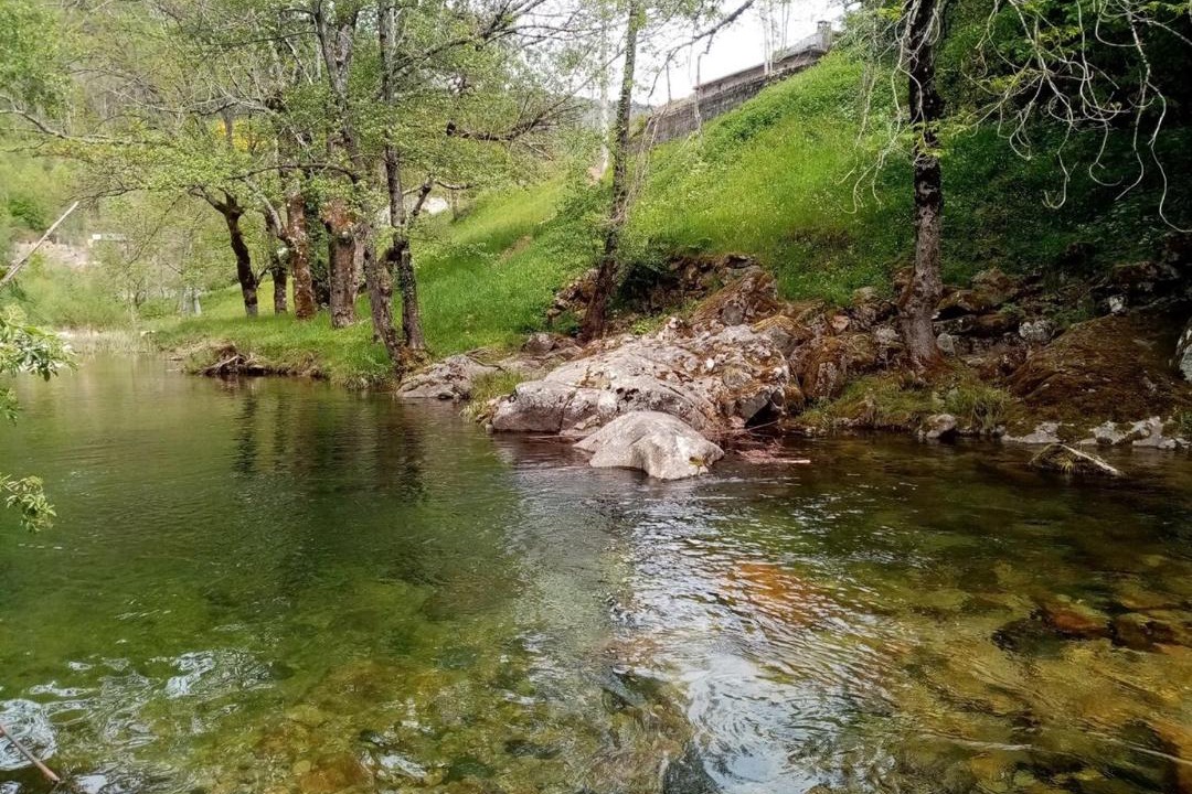Photo of Others in Dornas