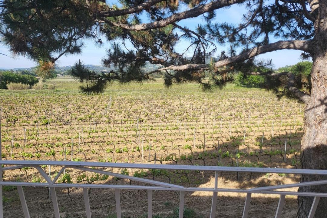 Photo of Others in Vaison-la-Romaine