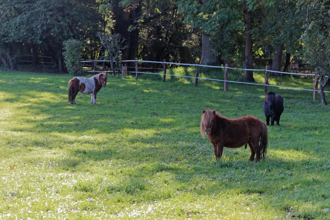 Photo of Others in Coulandon