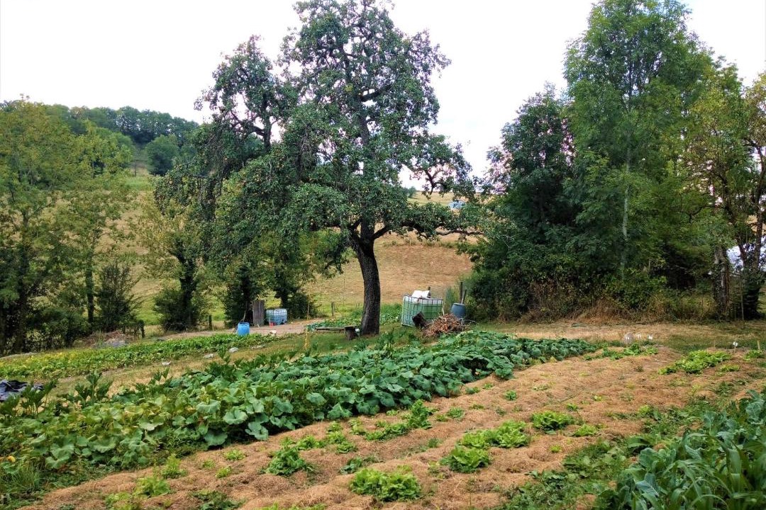 Photo of Others in Chirassimont