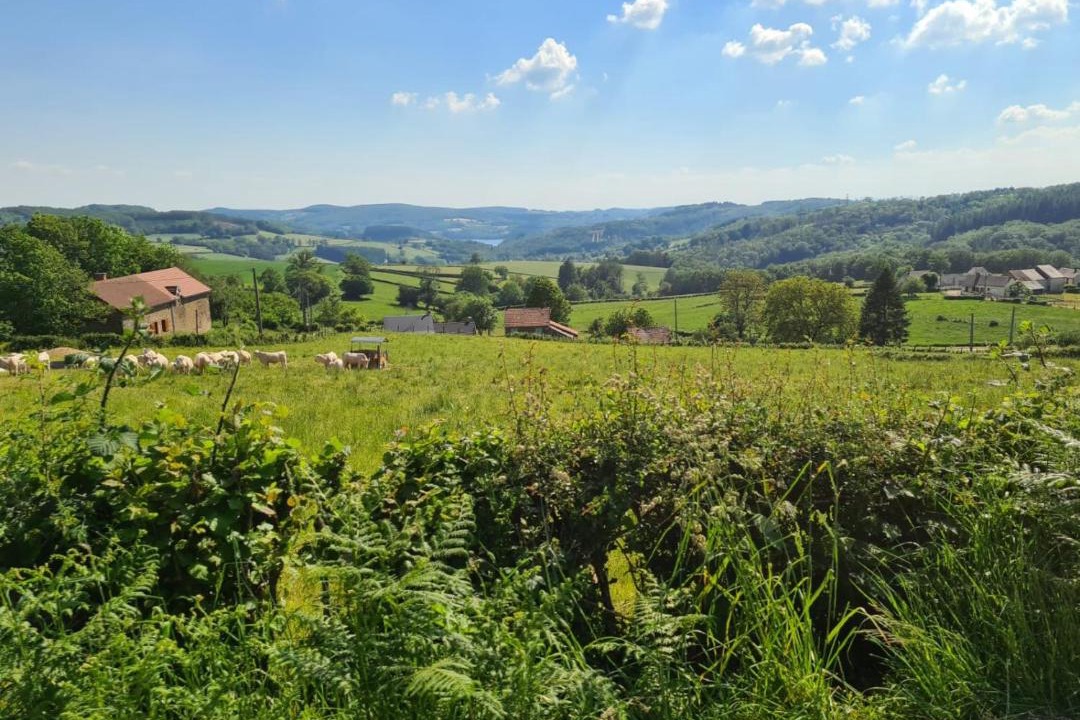 Photo of Others in Ouroux-en-Morvan