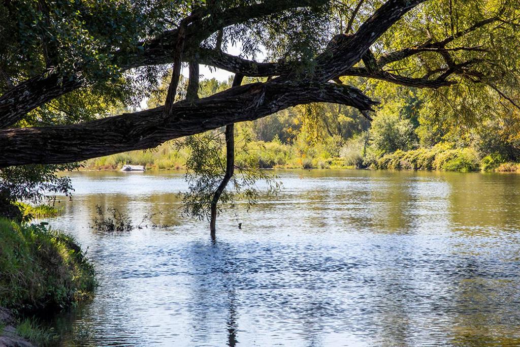 Photo of Others in Saint-Maurice-dʼArdeche