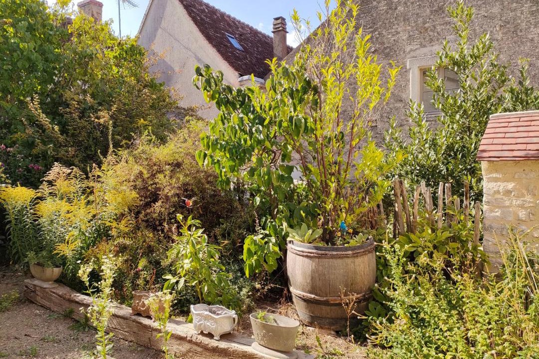 Photo of Others in Vezelay