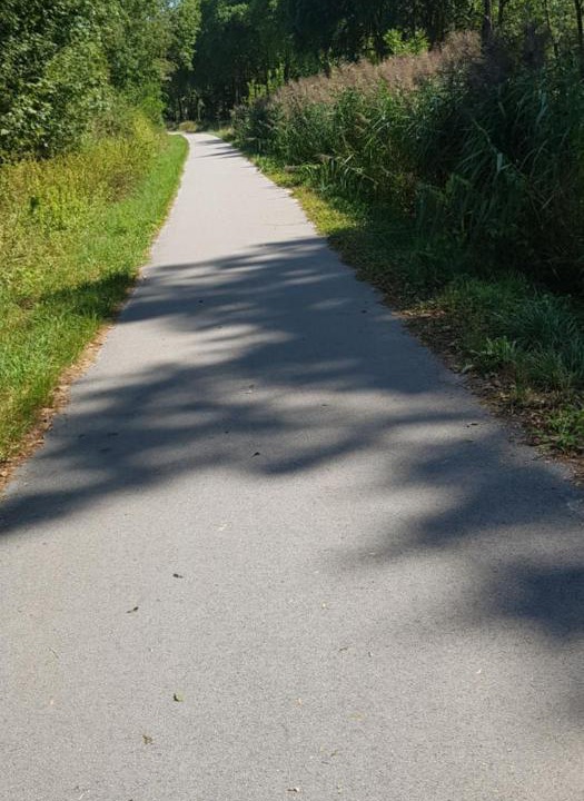 Photo of Outdoor in Beaupre