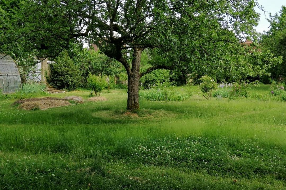 Photo of Others in Montmirey-la-Ville