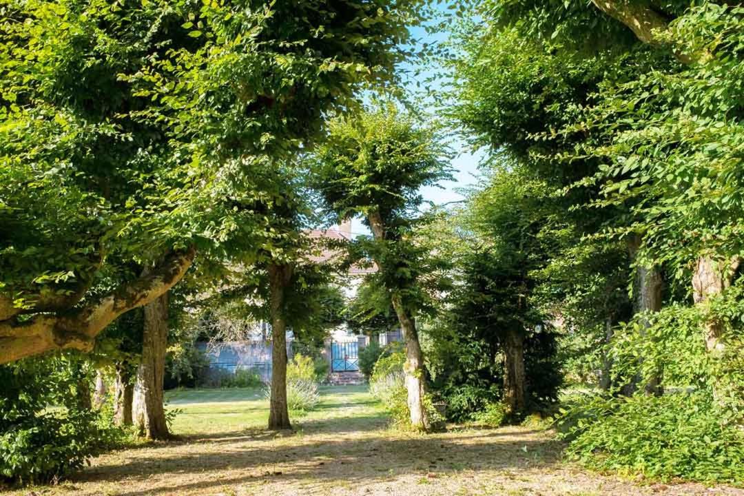 Photo of Others in Montmirey-la-Ville
