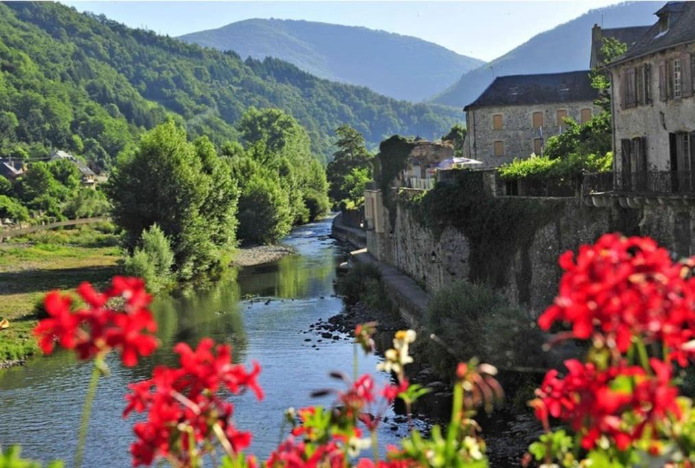 Photo of Others in Saint-Geniez-d'Olt