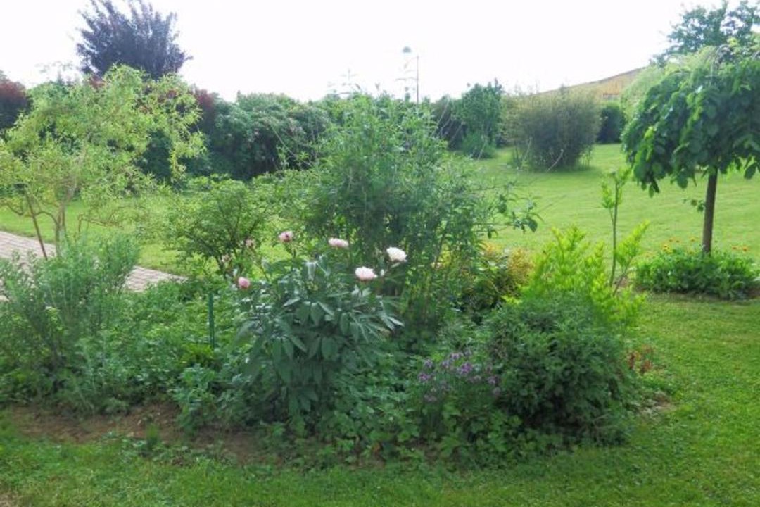 Photo of Others in Lironcourt