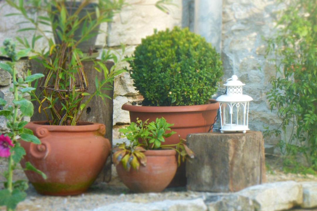 Photo of Others in Baume-les-Dames