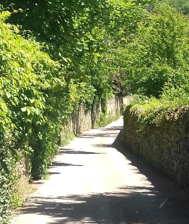 Photo of Others in Saint-Vallier