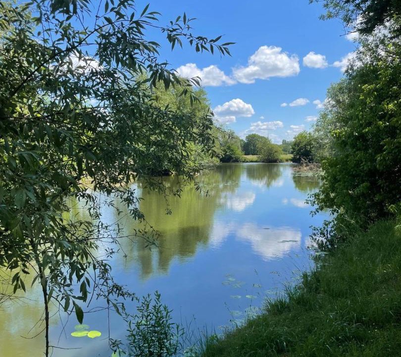Photo of Outdoor in Louhans