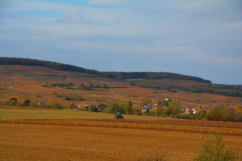 Photo of Others in Ladoix-Serrigny