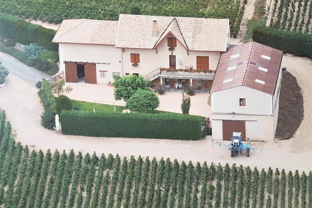 Photo of Others in Fleurie