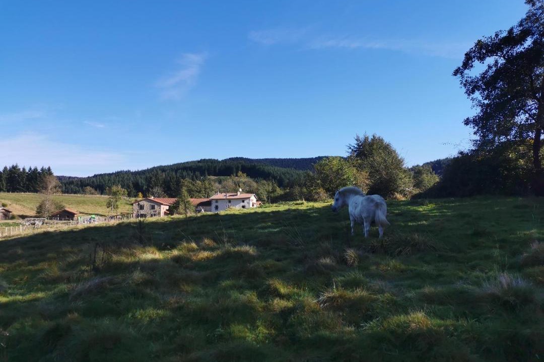 Photo of Others in Viscomtat