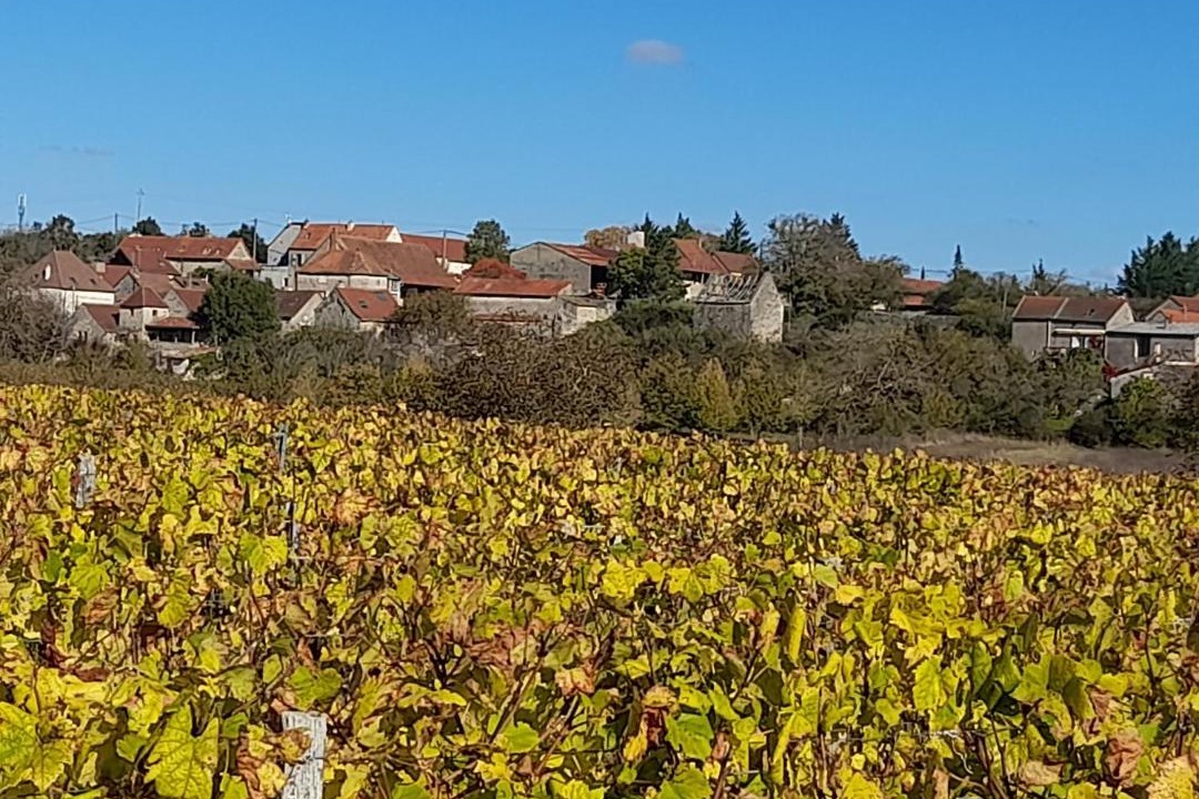 Photo of Outdoor in Cortevaix