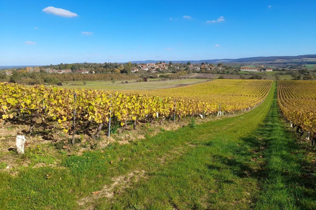 Photo of Outdoor in Cortevaix