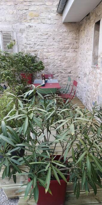 Photo of Others in Paroisse Notre-Dame
