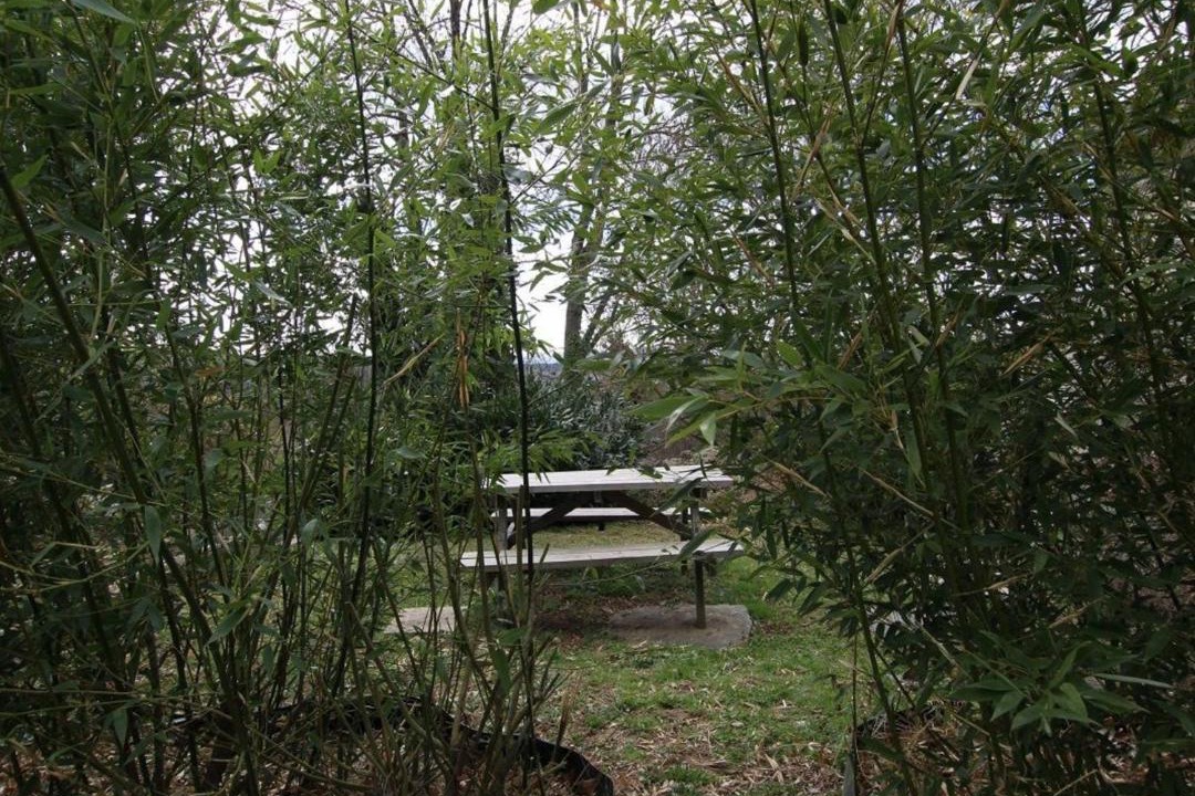 Photo of Outdoor in Saint-Julien-Chapteuil