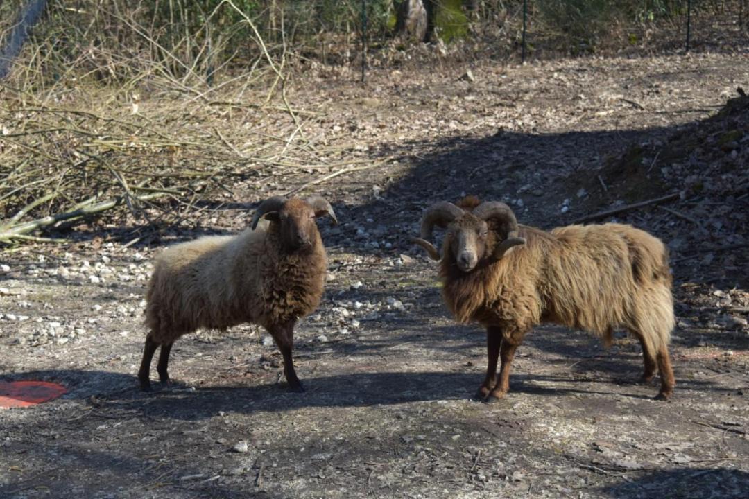 Photo of Others in Saint-Cheron