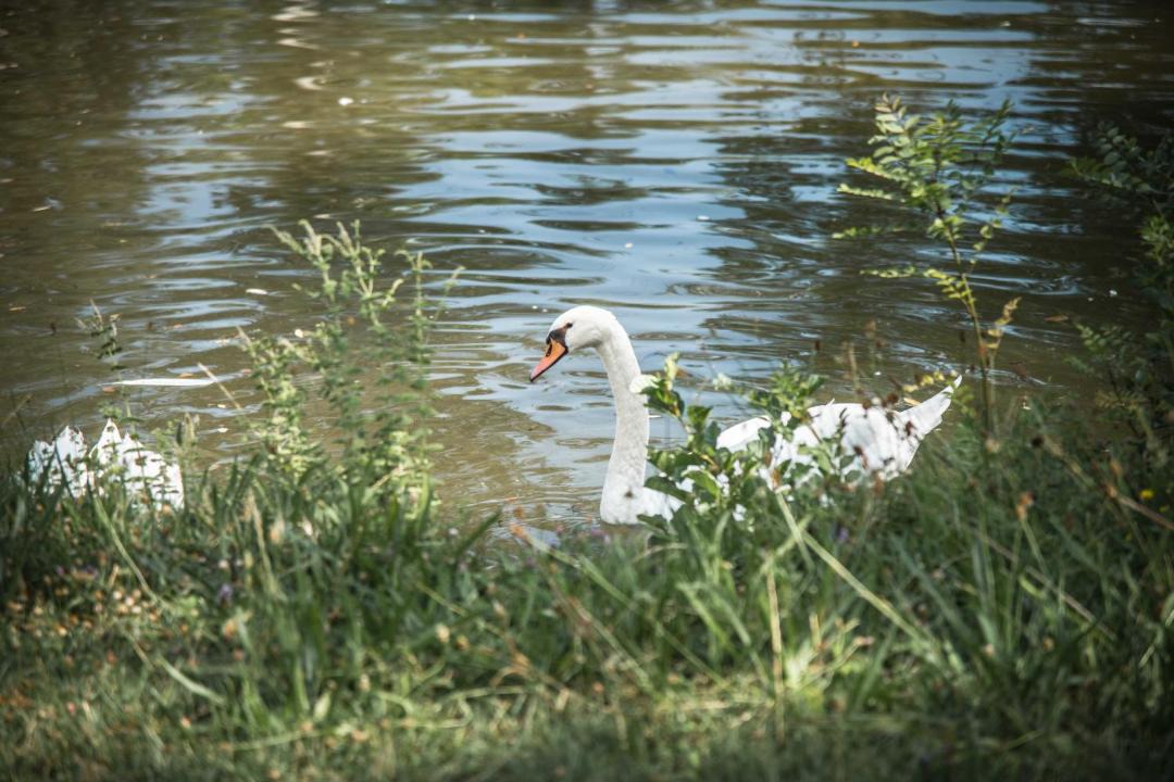 Photo of Others in La Begude-de-Mazenc