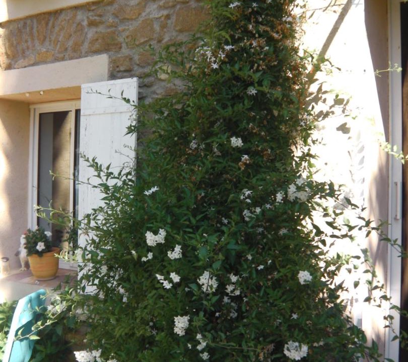 Photo of Others in Beaumes-de-Venise