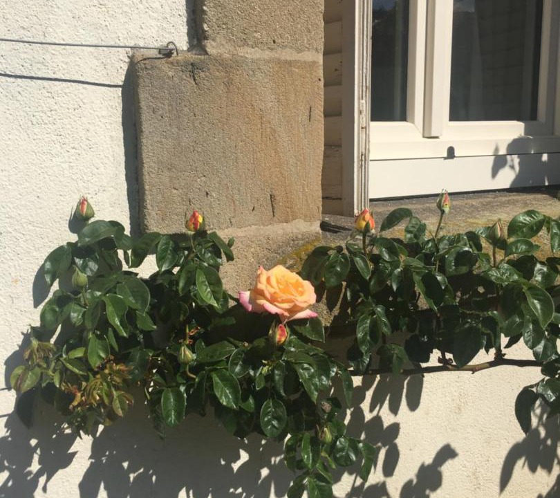 Photo of Others in Autun