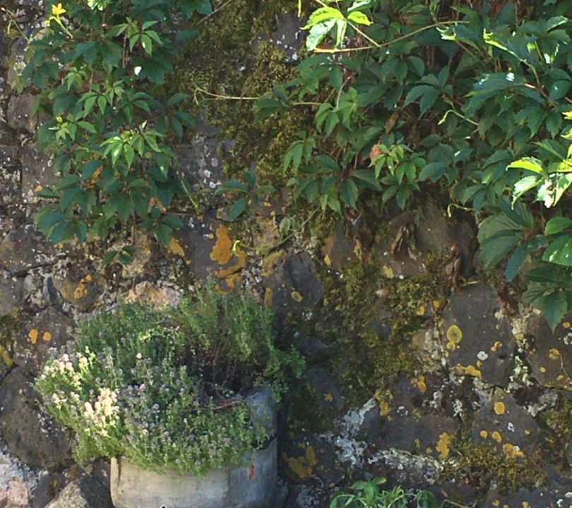 Photo of Others in Saint-Urcize