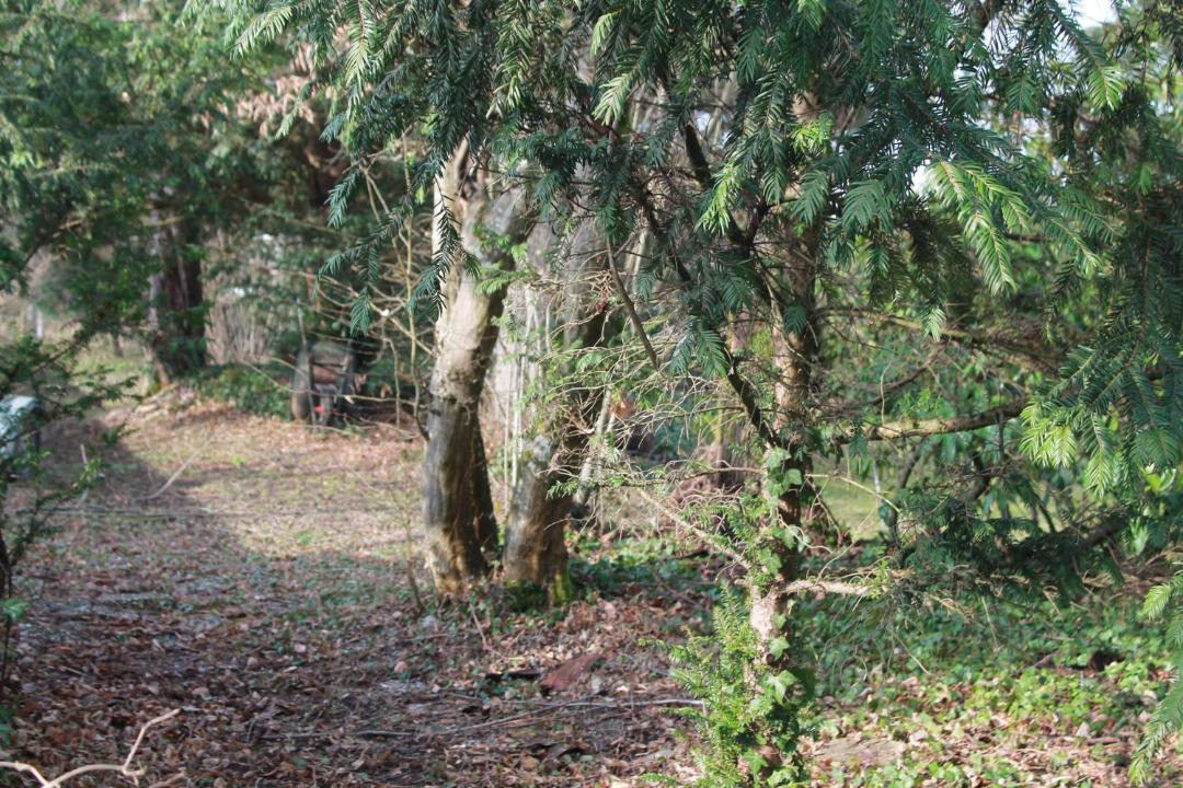 Photo of Others in Arc-les-Gray