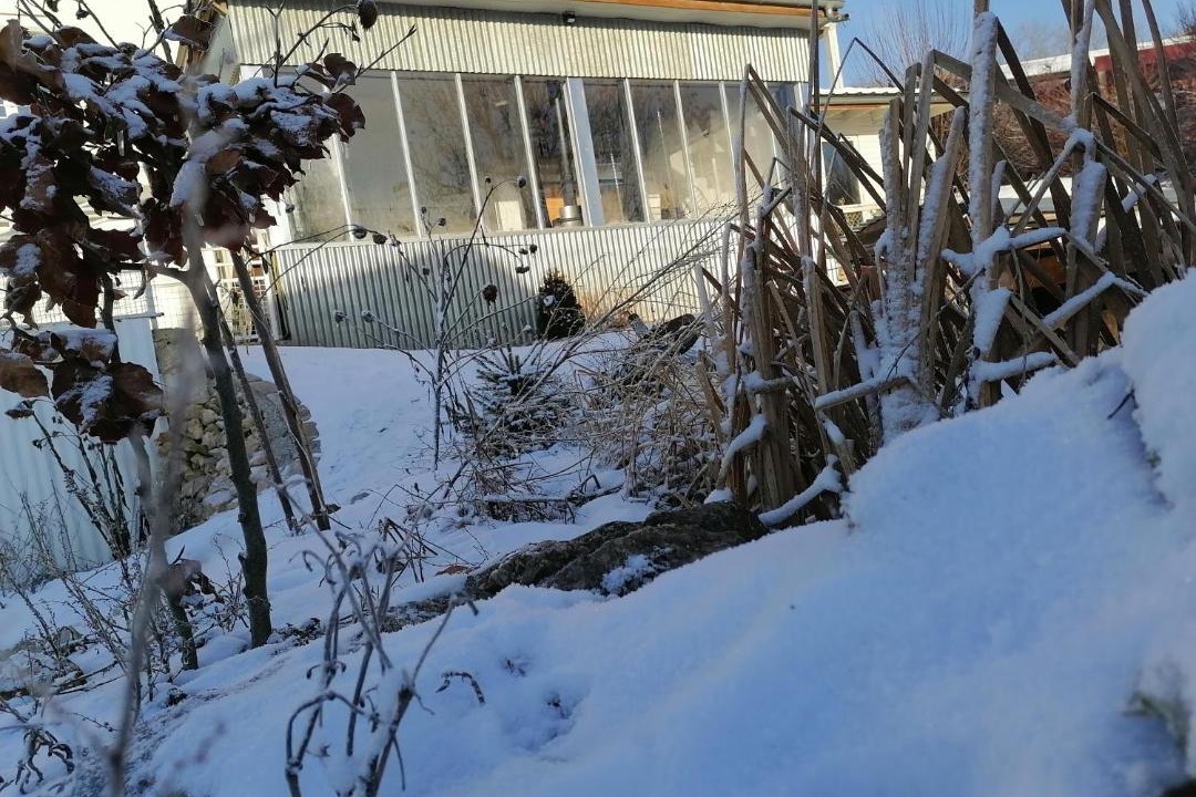 Photo of Others in Orchamps-Vennes