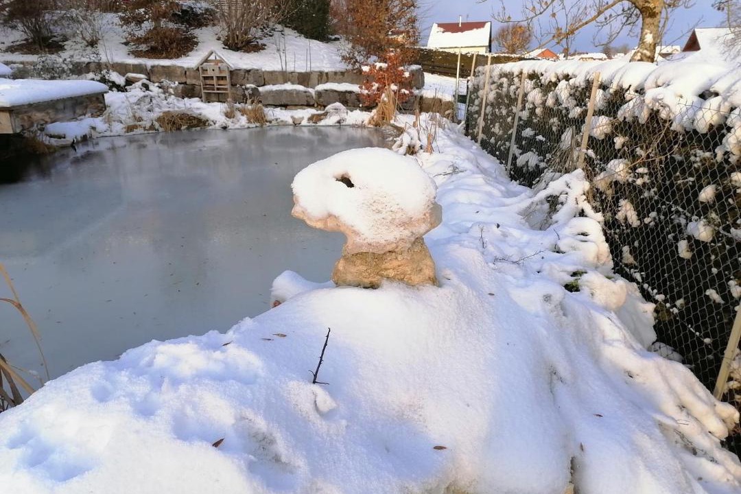 Photo of Others in Orchamps-Vennes