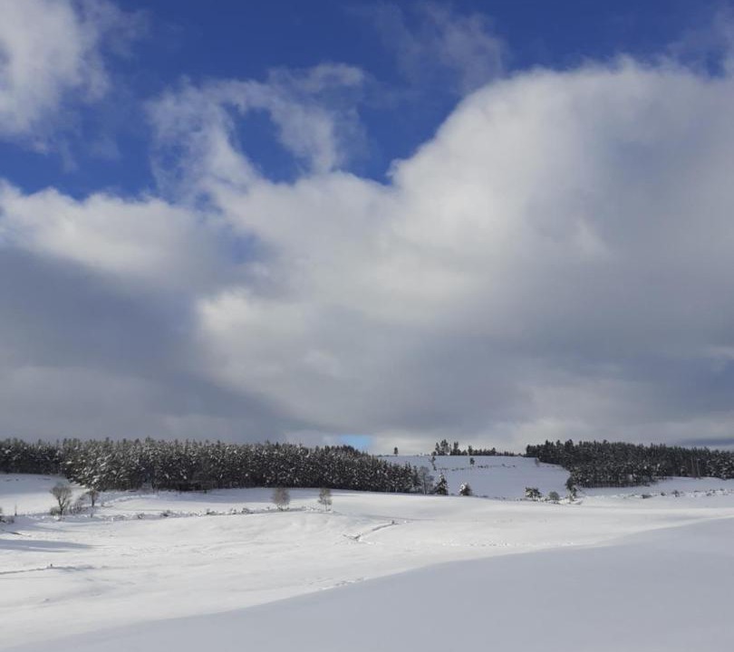 Photo of Others in Saint-Sauveur-de-Peyre
