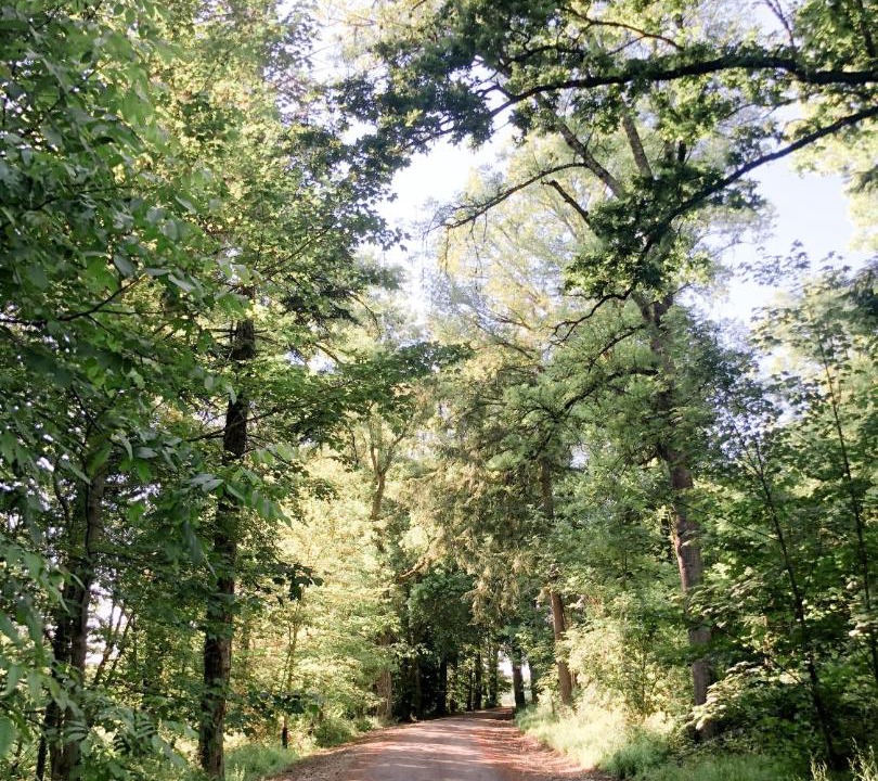 Photo of Others in Entrains-sur-Nohain