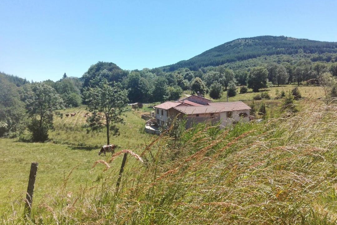 Photo of Others in Viscomtat