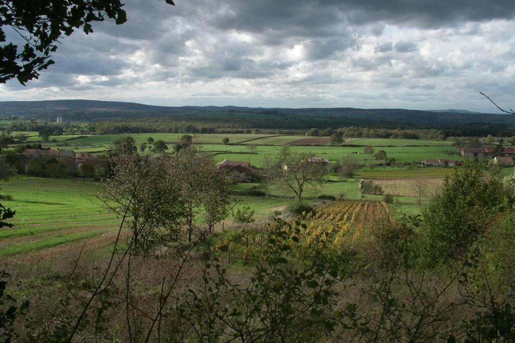 Photo of Others in Chissey-les-Macon