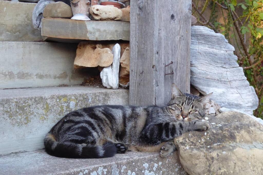 Photo of Others in Chissey-les-Macon