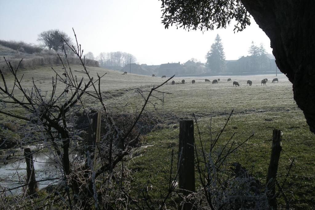 Photo of Others in Chissey-les-Macon