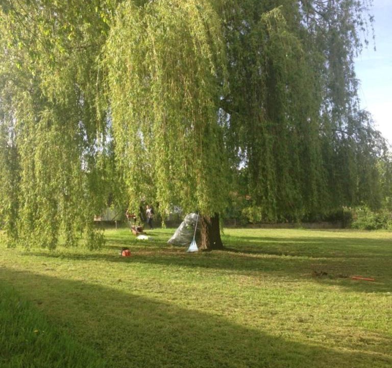 Photo of Others in Vesoul