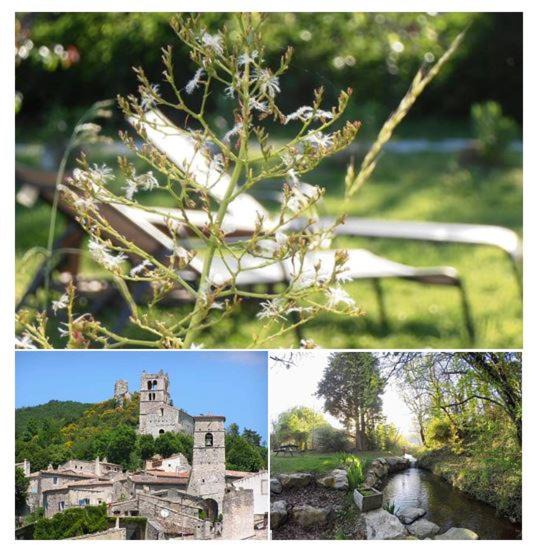 Photo of Others in Marsanne
