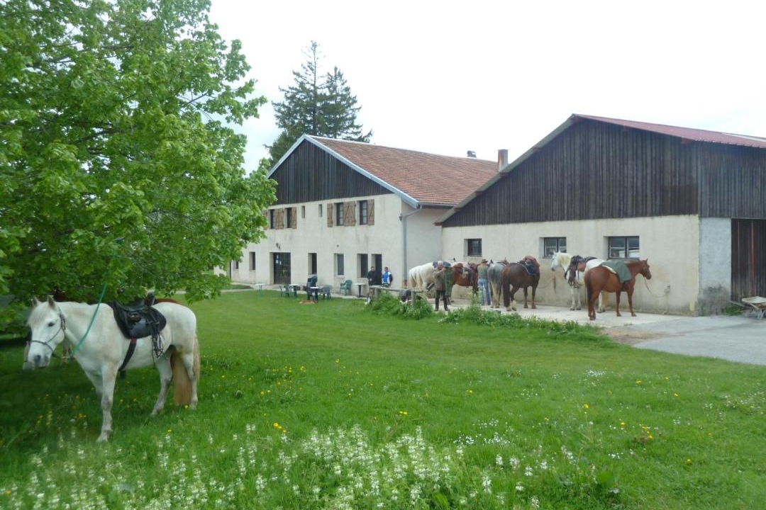 Photo of Others in Longcochon