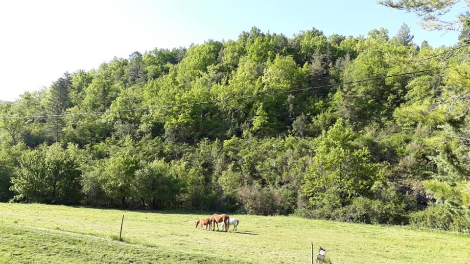 Photo of Others in Saint-Maurice-d'Ibie