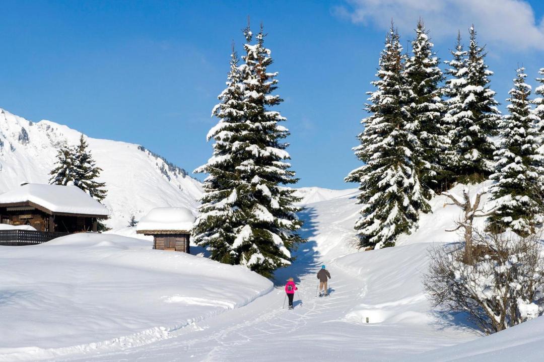 Photo of Others in Bois-d'Amont