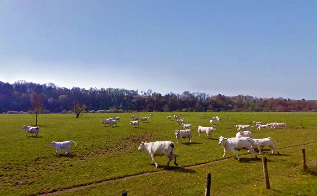 Photo of Others in Magny-les-Jussey