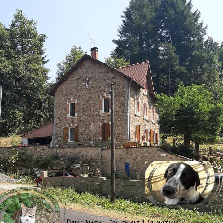 Photo of Others in La Monnerie-le-Montel