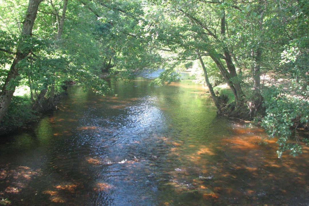 Photo of Others in Ambert