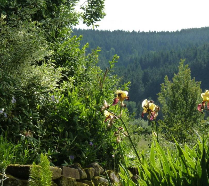 Photo of Others in La Montagne