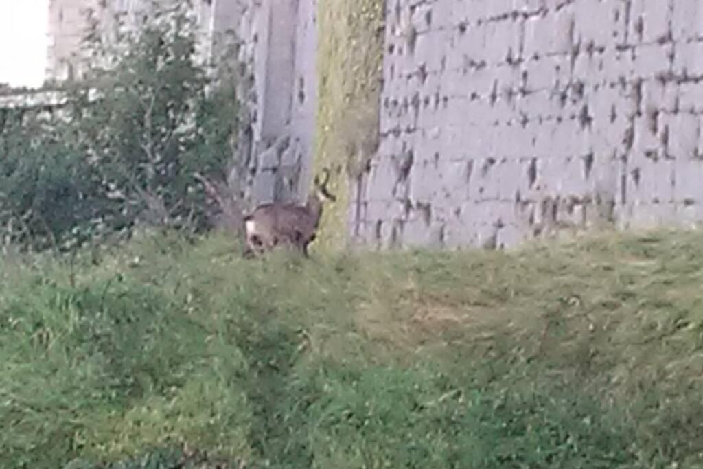 Photo of Others in Salins-les-Bains