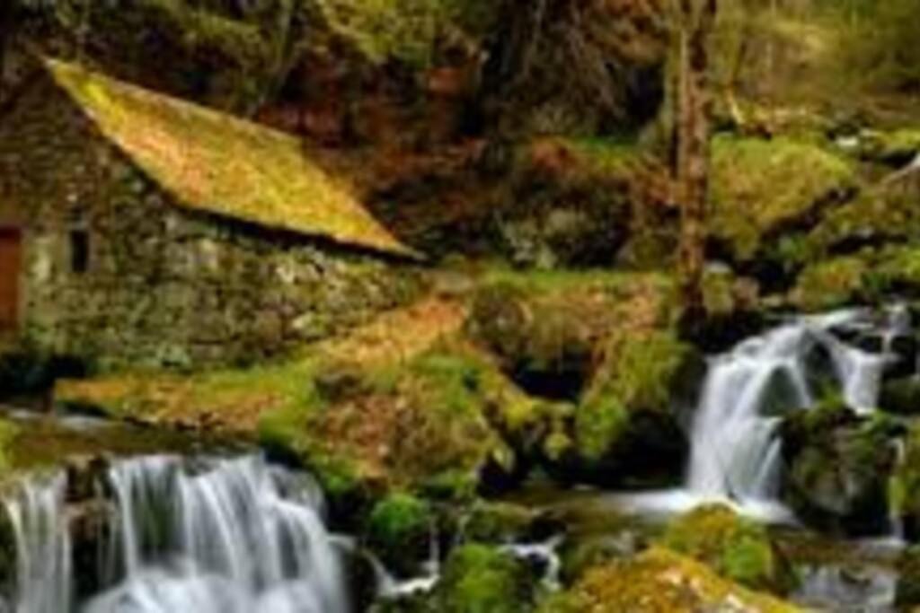 Photo of Others in Murat